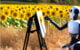 Robot painting sunflowers by DALL·E
